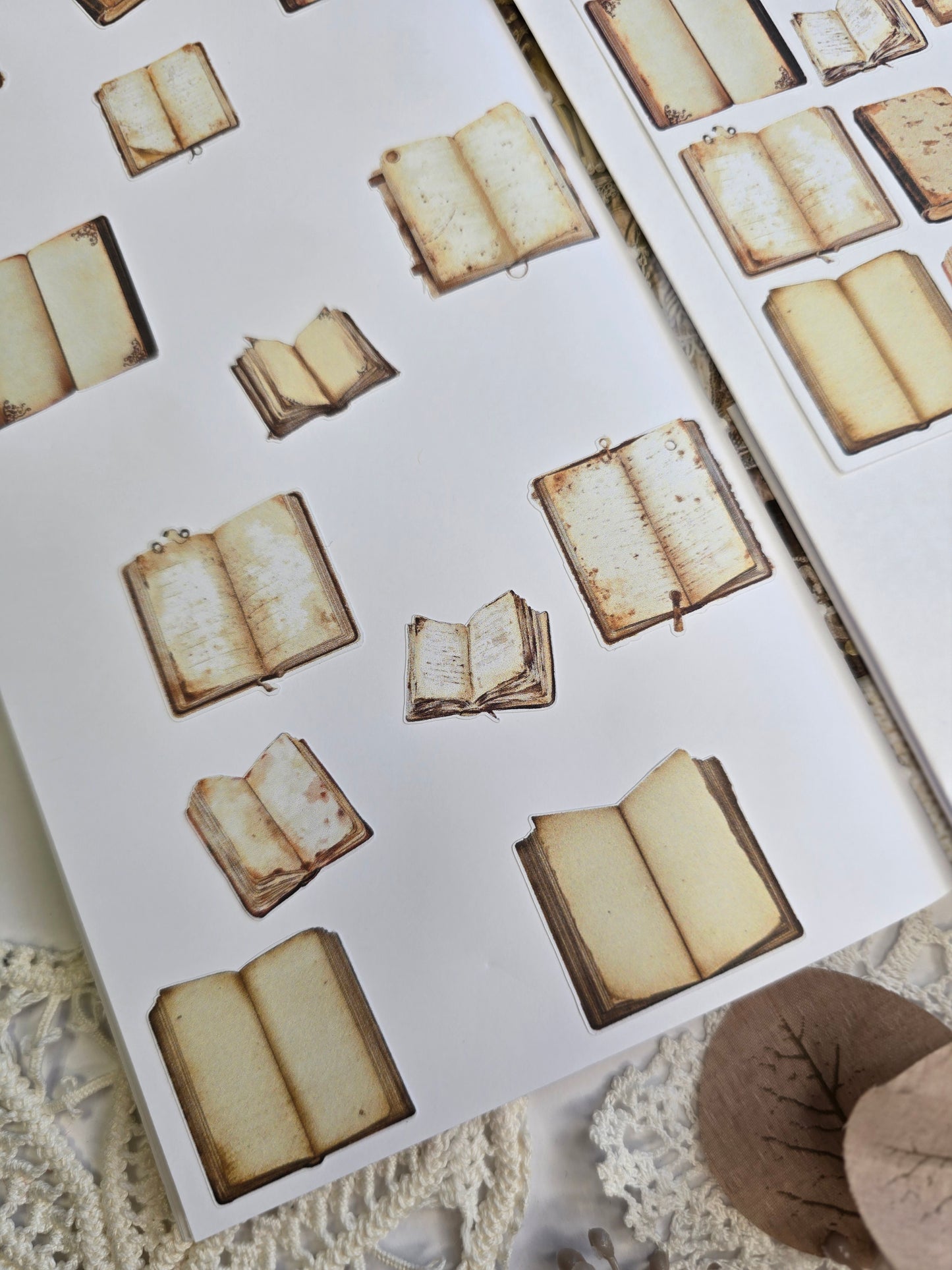 Vintage Books Sticker Set 10 Motifs Scrapbooking Journal Collage Decoration Ephemera