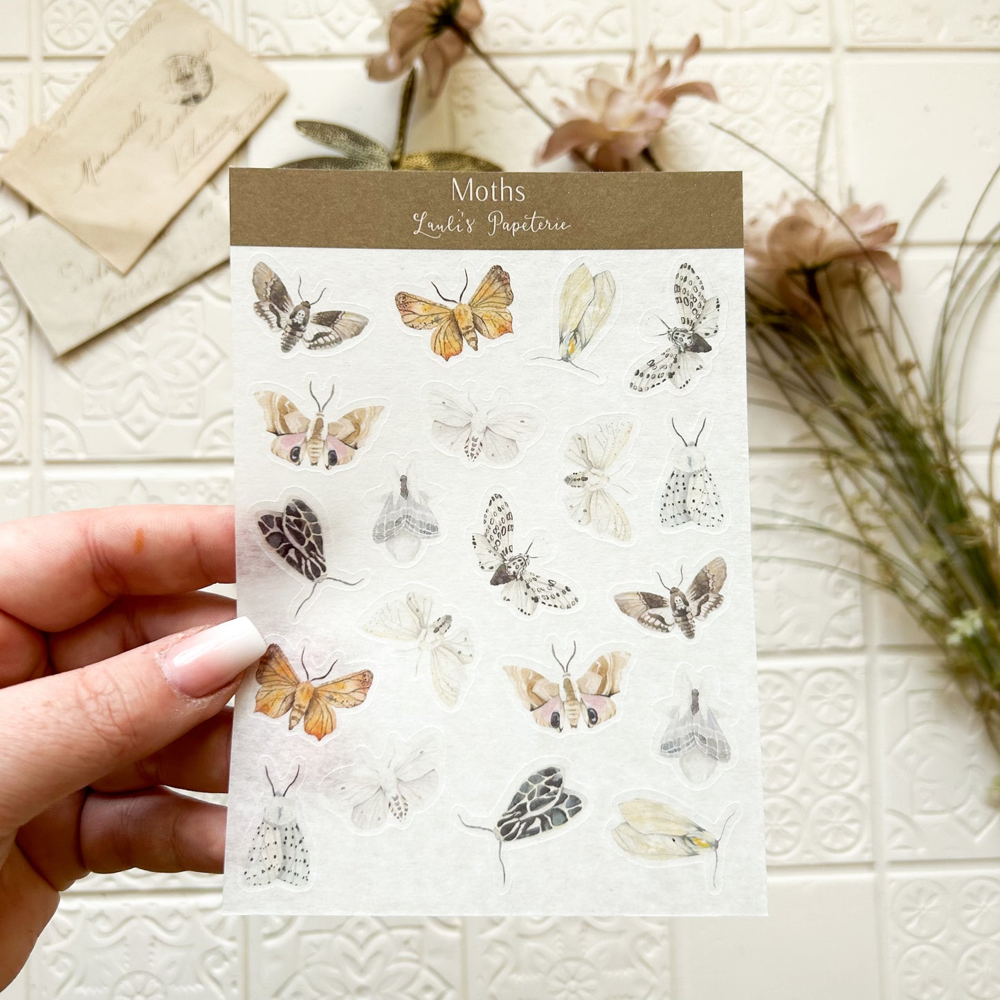 Sticker „Moths“ – Lauli's Papeterie