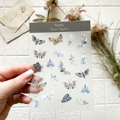 Sticker „Moths“ – Lauli's Papeterie